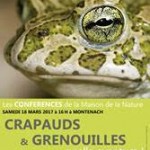 afficheGrenouille